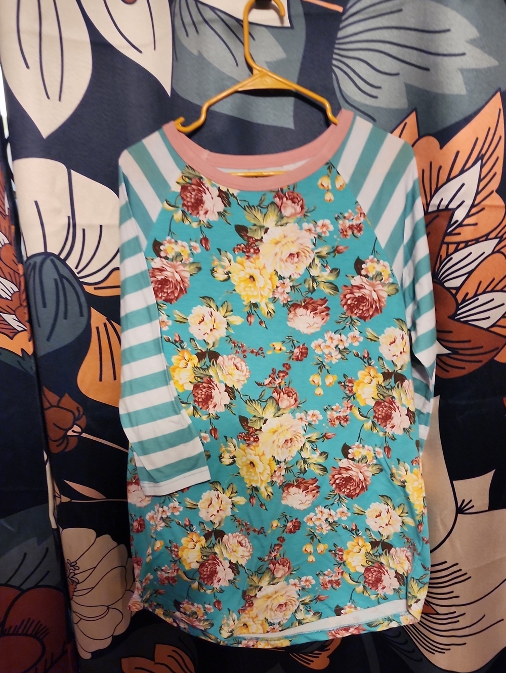 Floral Stripe Raglan Long Sleeve Tee in Teal and Pink